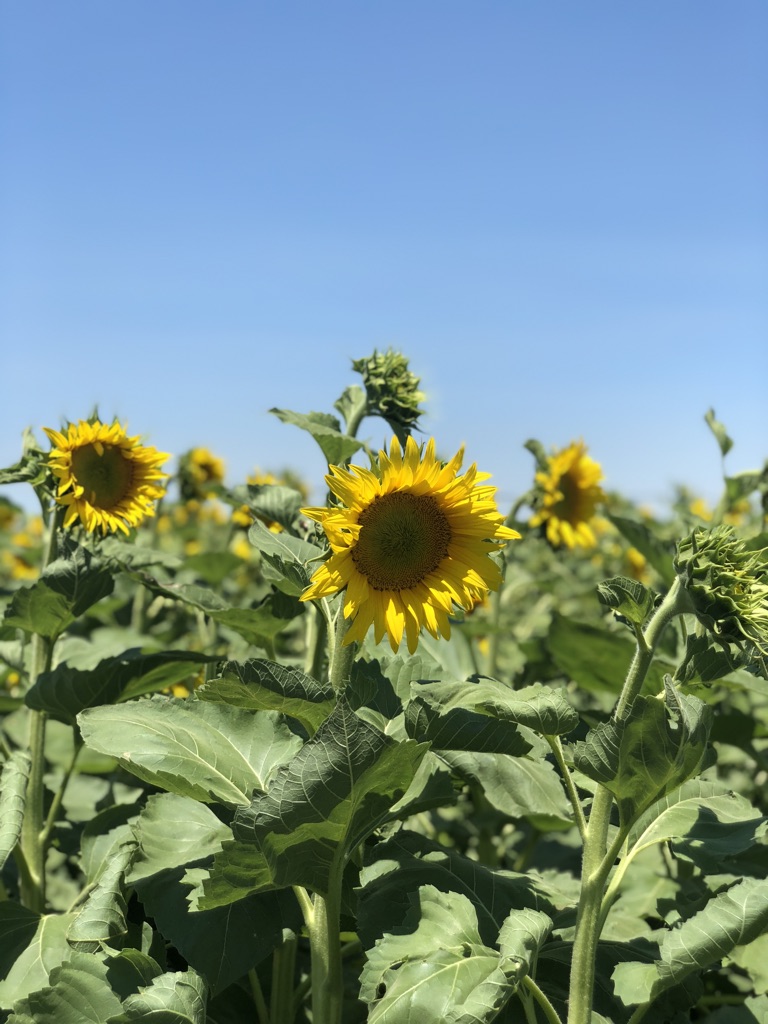 Mariah's Kitchen photo 2