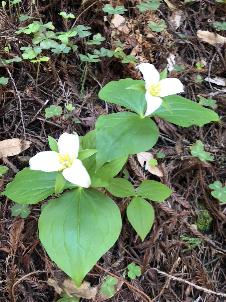 Mariah's Kitchen photo 5