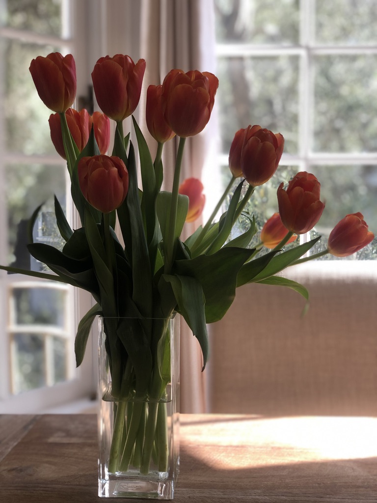 Mariah's Kitchen photo 6