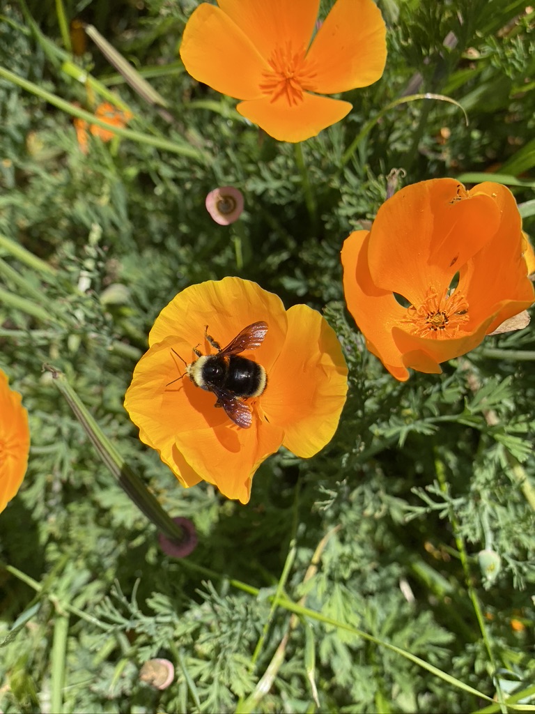 Mariah's Kitchen photo 9