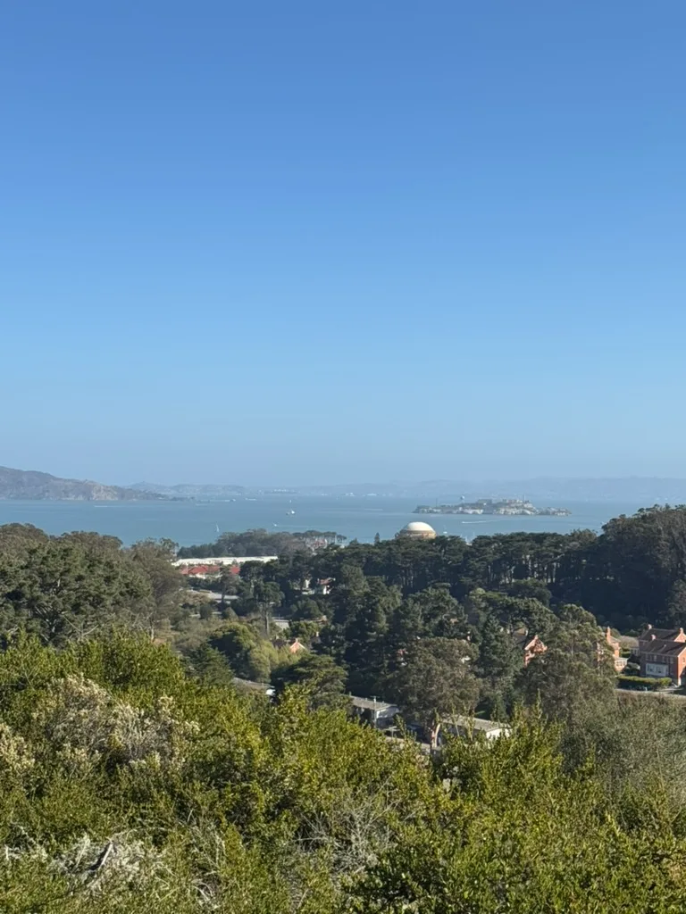 Bay Area Dog Walkers photo 4
