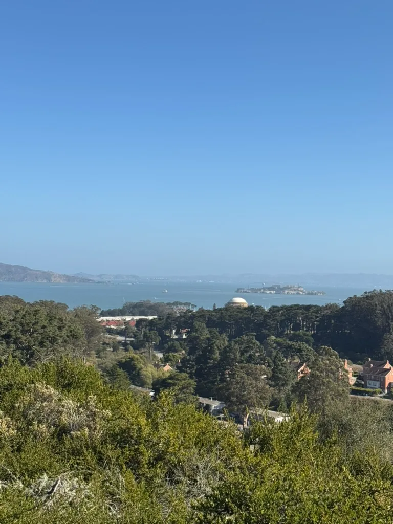 Bay Area Dog Walkers photo 2