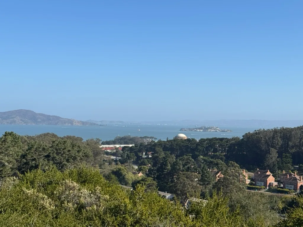 Bay Area Dog Walkers photo 3