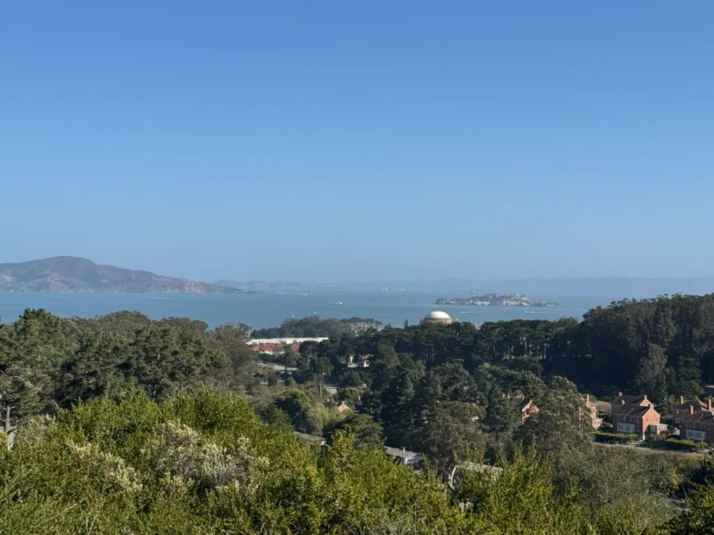 Bay Area Dog Walkers photo 5